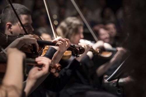 Violinisten Violinisten